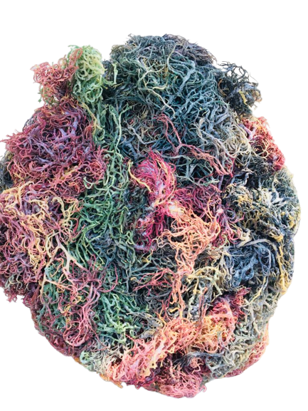 HERB TO BODY Multi-Color Irish Sea Moss